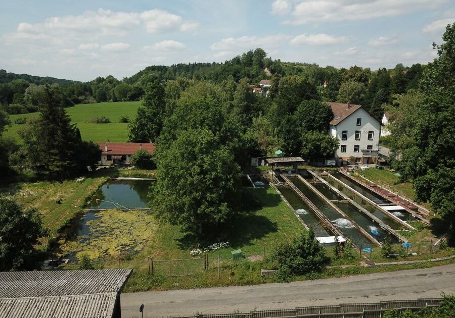 3031-kurzGebäudeareal-mit-Fischweihern-min-getagt
