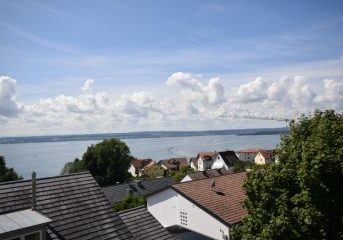 baumeister mfh