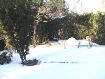 Eigener Garten, 88250 Weingarten, Erdgeschosswohnung