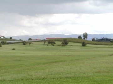 Baugrund mit Alpensicht, 88079 Kressbronn, Wohnen
