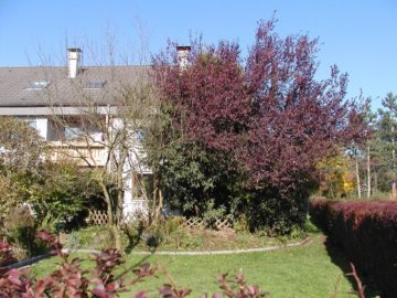 Reiheneckhaus in ruhiger, sonniger Lage von Weingarten, 88250 Weingarten, Reihenhaus